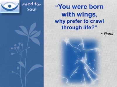Rumi quote You Can Fly: You were born with wings, why prefer to crawl through life?